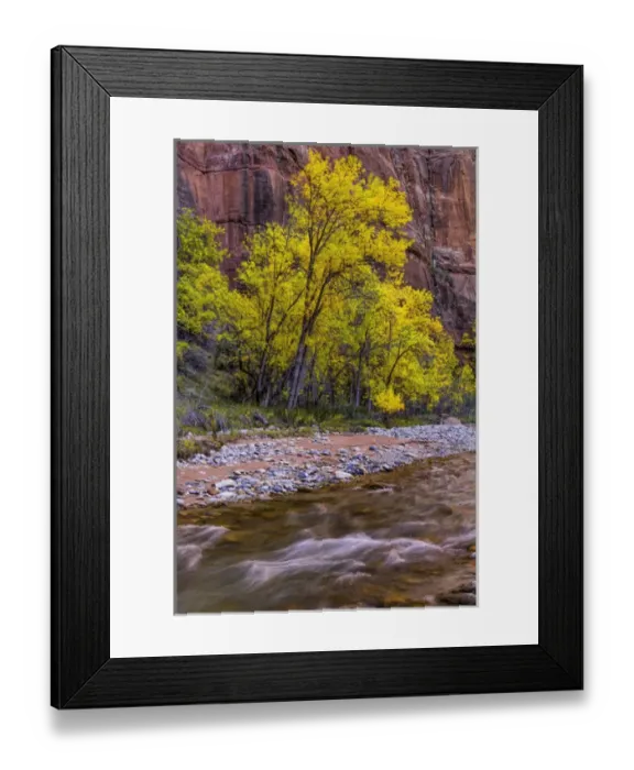 Framed Print : USA, Utah, Zion National Park. Stream in autumn scenic Framed Print : USA, Utah, Zion National Park. Stream in autumn scenic