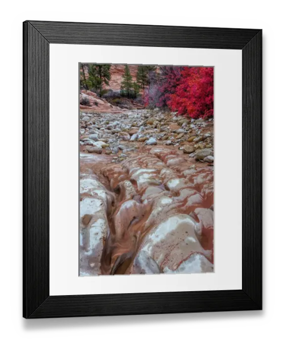 Framed Print : USA, Utah, Zion National Park. Ground rock pattern Framed Print : USA, Utah, Zion National Park. Ground rock pattern