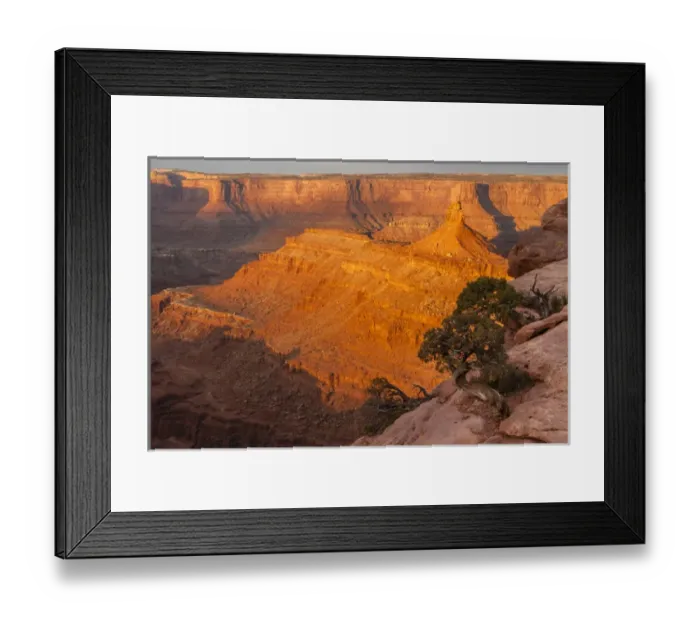 Framed Print : USA, Utah, Dead Horse Point State Park. Sunrise on canyon landscape