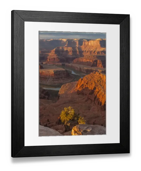 Framed Print : USA, Utah, Dead Horse Point State Park. Sunrise on Colorado River Framed Print : USA, Utah, Dead Horse Point State Park. Sunrise on Colorado River