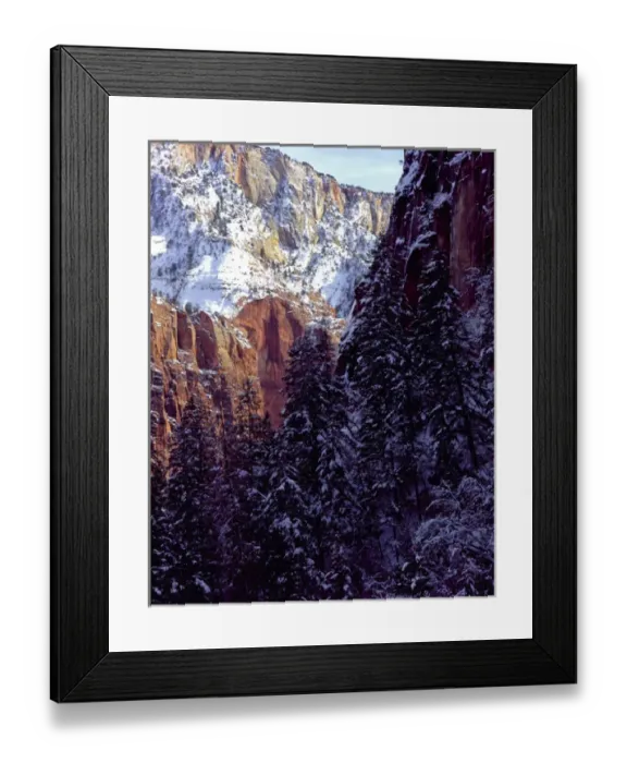 Framed Print : Zion National Park, Utah. USA. Snow on cliffs & conifers. Zion Canyon