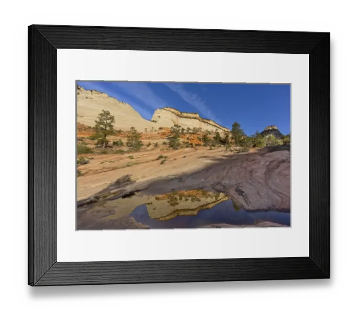 Framed Print : Sandstone monument reflects in pool of water in Zion National Park, Utah, USA Framed Print : Sandstone monument reflects in pool of water in Zion National Park, Utah, USA