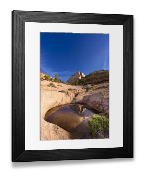 Framed Print : Sandstone monument reflects in pool of water in Zion National Park, Utah, USA