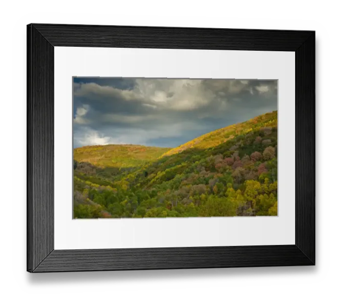 Framed Print : East Canyon fall foliage, East Canyon State Park, near Salt Lake City and Park City, Utah
