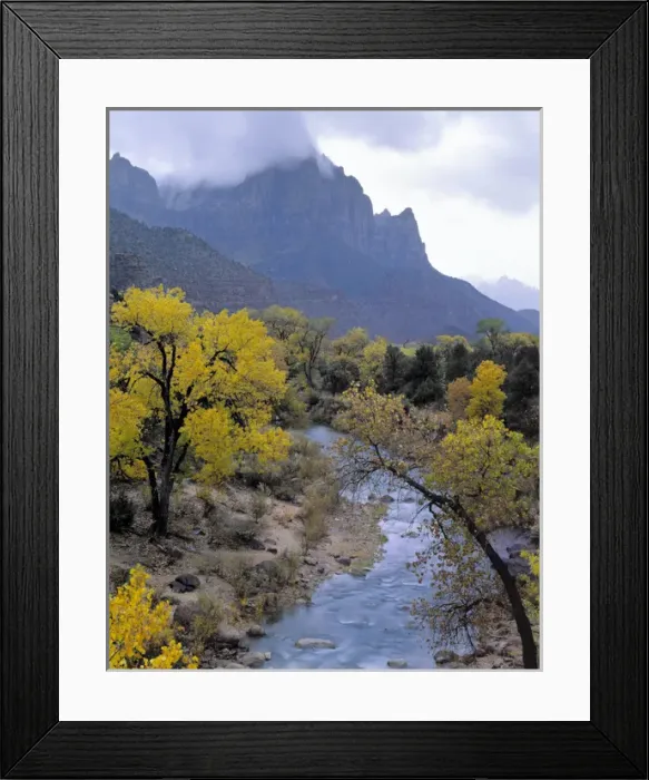 Framed Print : Zion National Park, Utah. USA. Autumn rain falls on The Watchman & the Virgin River Framed Print : Zion National Park, Utah. USA. Autumn rain falls on The Watchman & the Virgin River