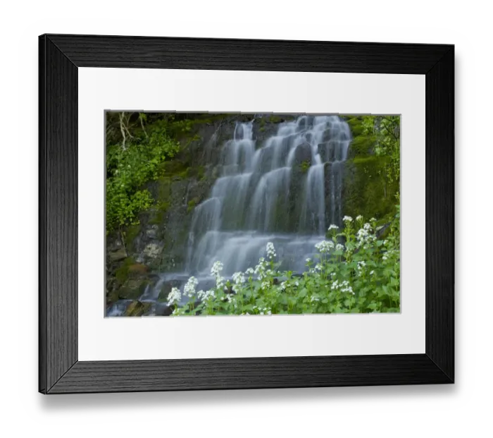 Framed Print : Waterfall and white wildflowers on Aspen Grove Trail, Mt