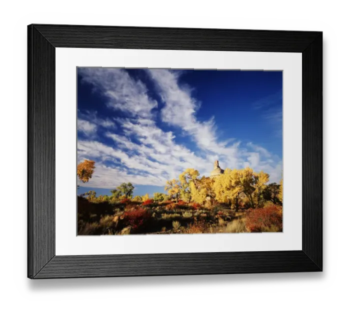 Framed Print : USA, Utah, View of Rabbit Brush in autumn below gunnison butte at green river flood plain