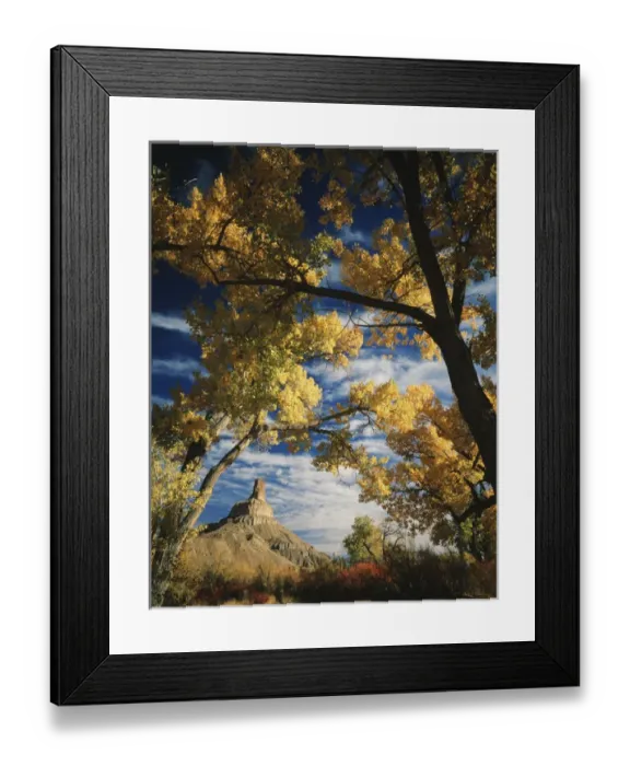 Framed Print : USA, Utah, Gunnison Butte, framed by cottonwoods (populus tremonti) and squawbush