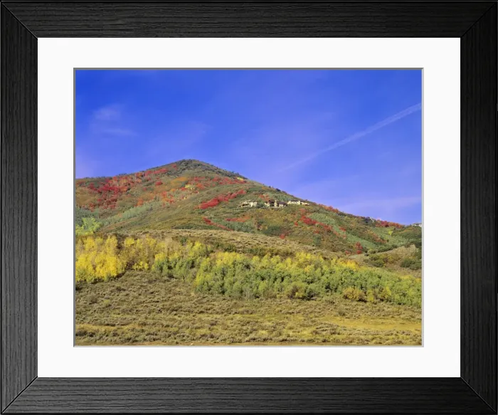 Framed Print : Group of homes impact prime wildlife habitat and often prevent access to public lands Framed Print : Group of homes impact prime wildlife habitat and often prevent access to public lands