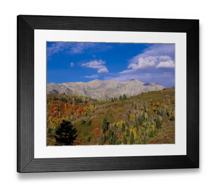 Framed Print : Mount Nebo Scenic Byway, Uinta-Wasatch- Cache National Forest near Nephi and Salt Lake City