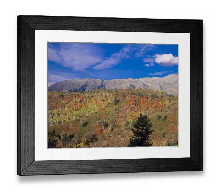 Framed Print : Mount Nebo Fall, Mount Nebo Scenic Byway, Uinta-Wasatch- Cache National Forest near Nephi Framed Print : Mount Nebo Fall, Mount Nebo Scenic Byway, Uinta-Wasatch- Cache National Forest near Nephi