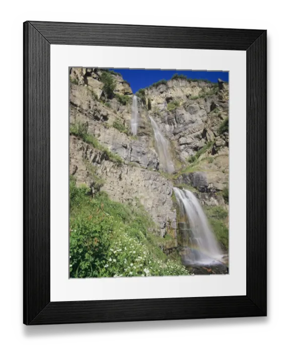 Framed Print : Stewart Falls and wildflowers, Near Mt. Timpanogos, Uinta Wasatch Cache National Forest