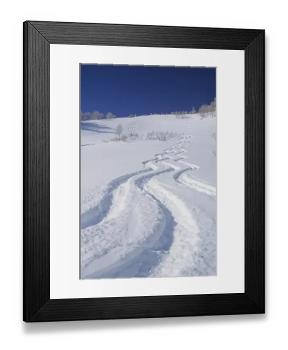 Framed Print : Ski Tracks in Silver Fork, Big Cottonwood, Uinta Wasatch Cache National Forest, Utah