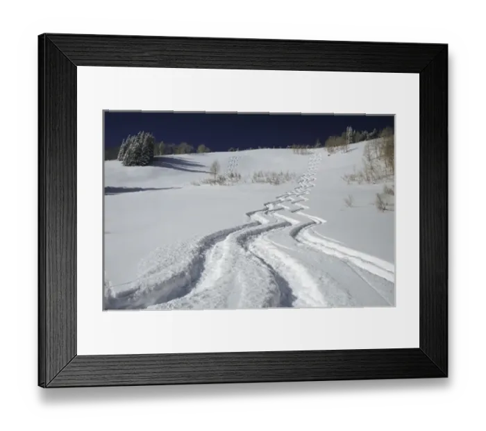 Framed Print : Ski tracks in Big Cottonwood Canyon, Wasatch-Cache National Forest, Utah