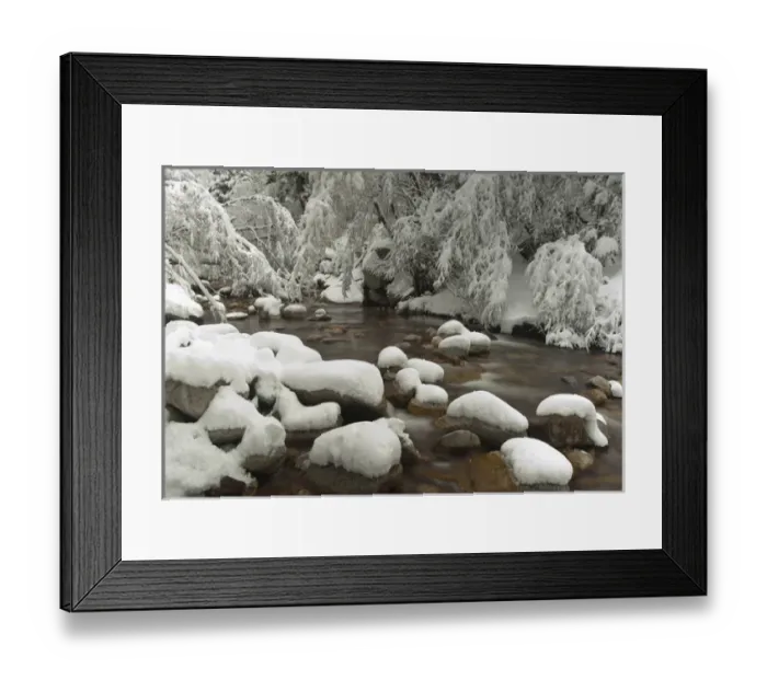 Framed Print : Little Cottonwood Creek and Flocked Trees, fresh snow, near Salt Lake City, Utah Framed Print : Little Cottonwood Creek and Flocked Trees, fresh snow, near Salt Lake City, Utah