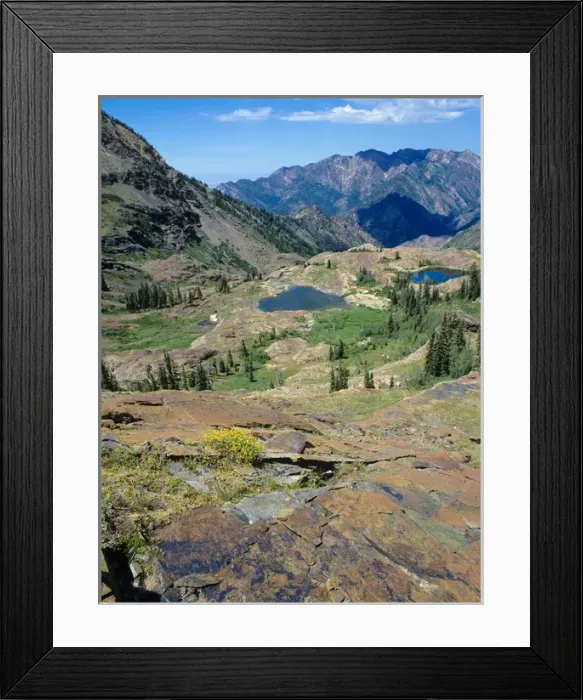 Framed Print : Quartzite Rock Polished by Glacier, Wildflowers above Lake blanche, Big Cottonwood Canyon Framed Print : Quartzite Rock Polished by Glacier, Wildflowers above Lake blanche, Big Cottonwood Canyon