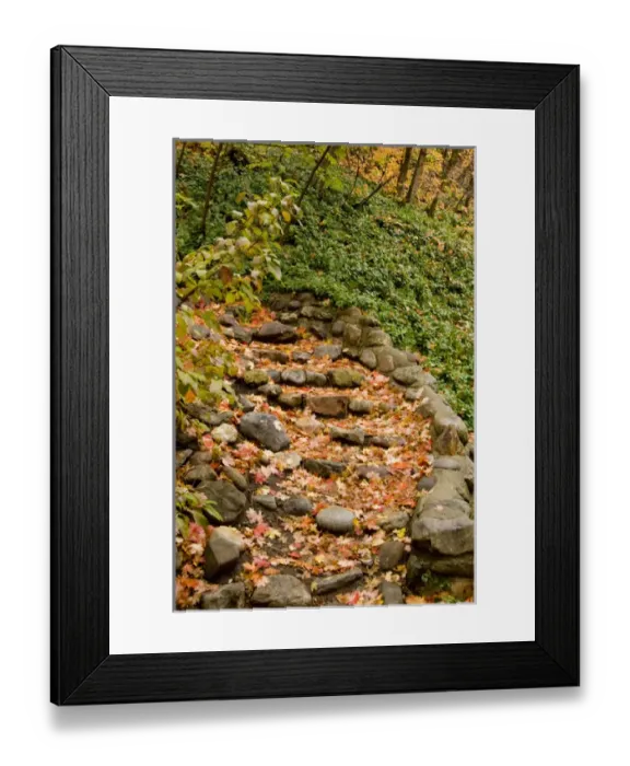Framed Print : Fall leaves path, Millcreek Canyon, Wasatch-Cache National Forest, Utah Framed Print : Fall leaves path, Millcreek Canyon, Wasatch-Cache National Forest, Utah