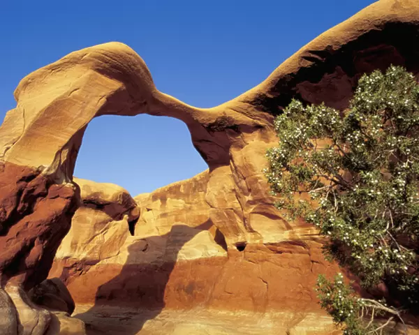 Metate Arch stands guard in Devils Garden, Grand Staircase National Monument, Utah