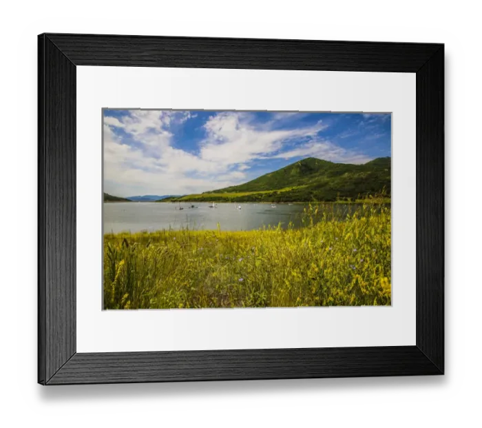 Framed Print : Jordanelle State Park, Utah. Field of wildflowers and boats on a lake Framed Print : Jordanelle State Park, Utah. Field of wildflowers and boats on a lake