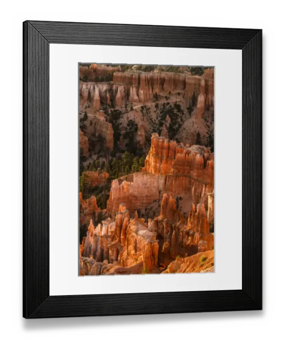 Framed Print : Bryce Canyon, National Park, Utah. Zig zag Hoodoos columns and fir trees in the canyon Framed Print : Bryce Canyon, National Park, Utah. Zig zag Hoodoos columns and fir trees in the canyon