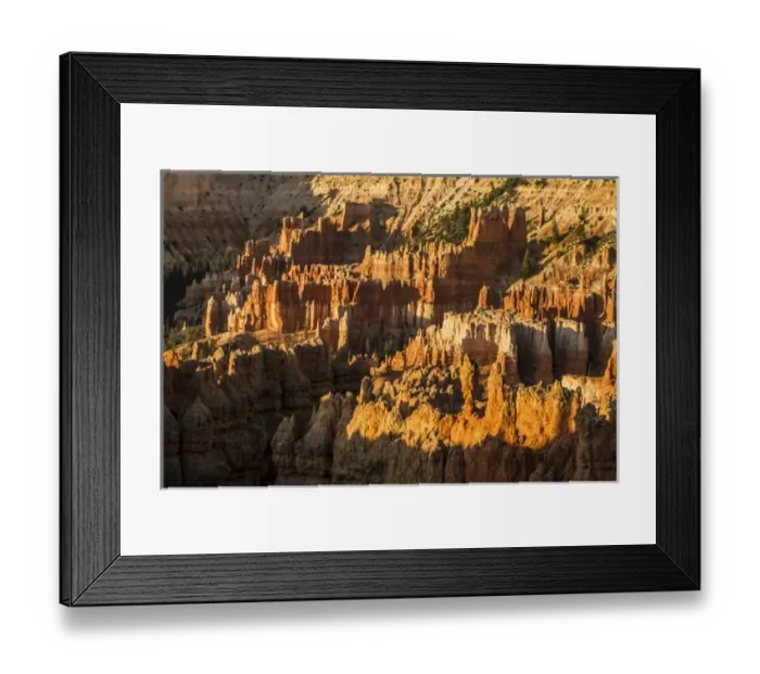 Framed Print : Bryce Canyon National Park, Utah. Golden sunlit wall of Hoodoos
