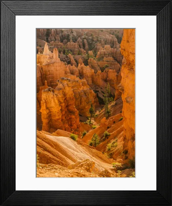 Framed Print : Bryce Canyon National Park, Utah. Pine Trees are scattered along the canyon and Hoodoos Framed Print : Bryce Canyon National Park, Utah. Pine Trees are scattered along the canyon and Hoodoos
