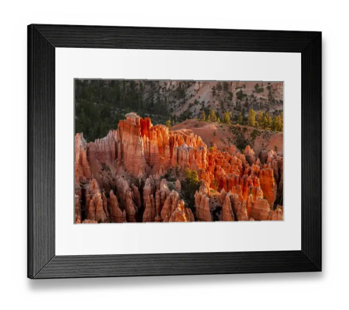 Framed Print : Bryce Canyon National Park Utah, USA Framed Print : Bryce Canyon National Park Utah, USA
