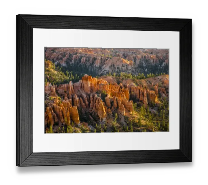 Framed Print : Bryce Canyon National Park Utah, USA Framed Print : Bryce Canyon National Park Utah, USA