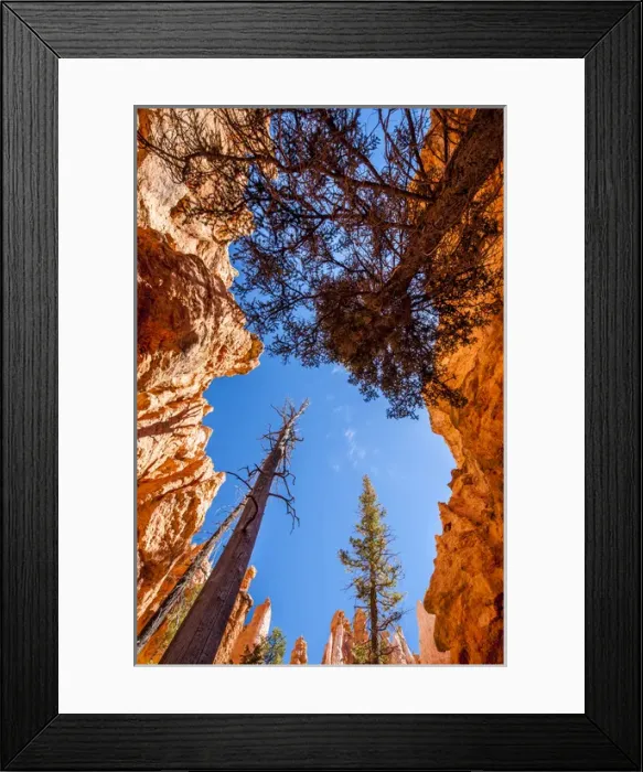 Framed Print : Wall Street, Bryce Canyon National Park Utah, USA Framed Print : Wall Street, Bryce Canyon National Park Utah, USA