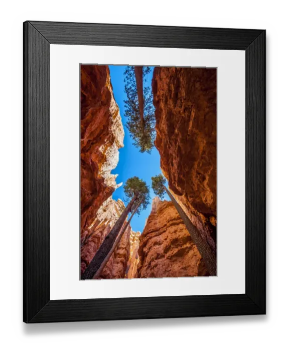 Framed Print : Wall Street, Bryce Canyon National Park Utah, USA Framed Print : Wall Street, Bryce Canyon National Park Utah, USA