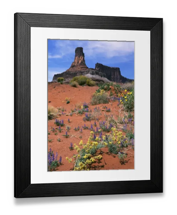Framed Print : USA, Utah, Canyonlands National Park, Dead Horse Point State Park, Rock formation Framed Print : USA, Utah, Canyonlands National Park, Dead Horse Point State Park, Rock formation