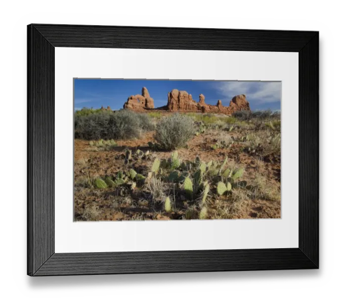 Framed Print : The Windows, Arches National Park, Utah, US Framed Print : The Windows, Arches National Park, Utah, US