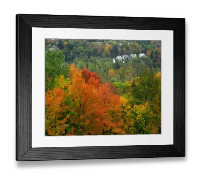 Framed Print : USA, Vermont, Saint Johnsbury. Hillside scenic of trees and homes Framed Print : USA, Vermont, Saint Johnsbury. Hillside scenic of trees and homes