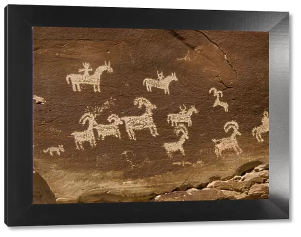 Ute Petroglyphs Depicting Horse and Rider with Bighorn Sheep and Dog-Like Animals