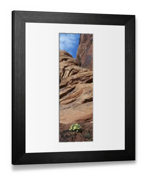 Framed Print : USA, Utah, Moab, Arches National Park, Sandstone monuments with yellow wildflowers Framed Print : USA, Utah, Moab, Arches National Park, Sandstone monuments with yellow wildflowers