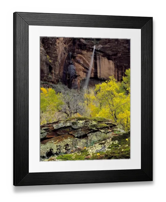 Framed Print : Zion National Park, Utah. USA. Ephemeral waterfall pours over cliff at Weeping Rock Framed Print : Zion National Park, Utah. USA. Ephemeral waterfall pours over cliff at Weeping Rock