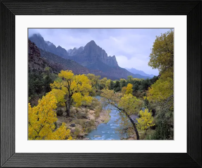 Framed Print : Zion National Park, Utah. USA. Autumn rain falls on The Watchman & the Virgin River Framed Print : Zion National Park, Utah. USA. Autumn rain falls on The Watchman & the Virgin River