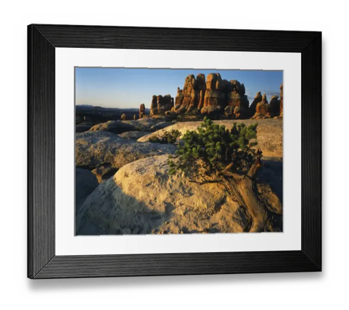 Framed Print : USA, Utah, Maze District, View of rock formations at canyon Framed Print : USA, Utah, Maze District, View of rock formations at canyon