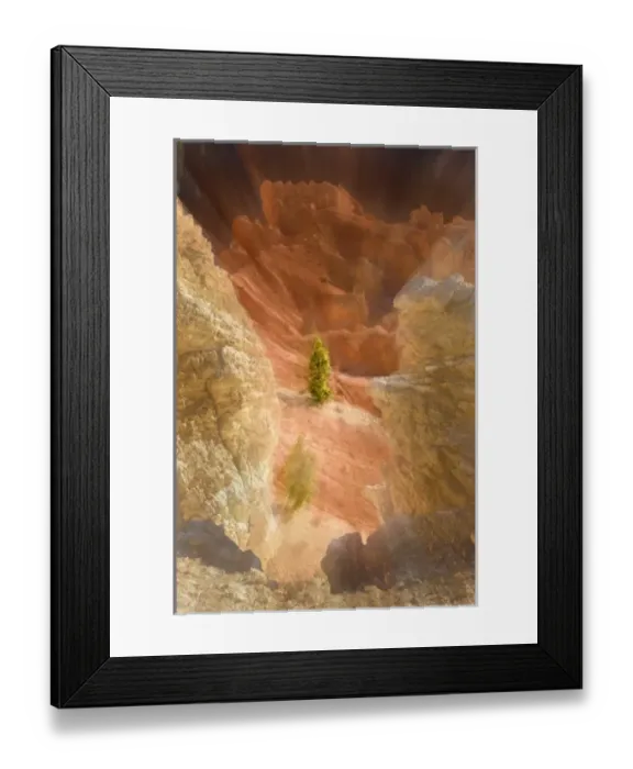 Framed Print : Lonely tree. Bryce Canyon National Park. Utah. US Framed Print : Lonely tree. Bryce Canyon National Park. Utah. US
