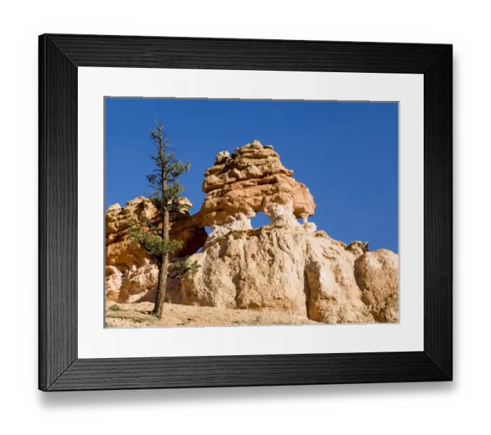 Framed Print : Limestone formation. Bryce Canyon National Park. Utah. US Framed Print : Limestone formation. Bryce Canyon National Park. Utah. US
