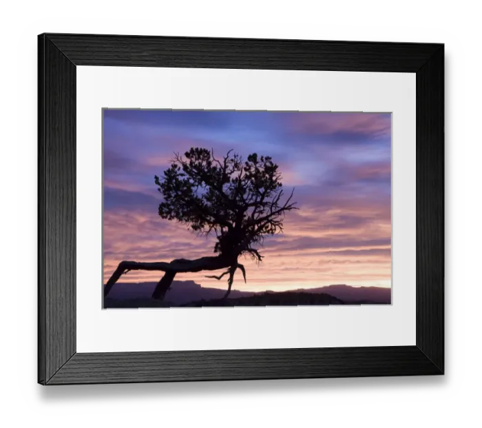 Framed Print : Sunrise at Bryce Canyon National Park. Utah. US Framed Print : Sunrise at Bryce Canyon National Park. Utah. US