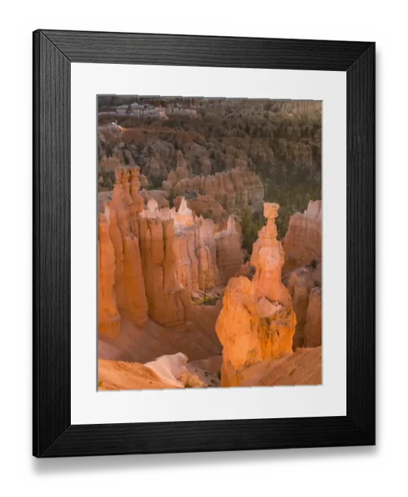 Framed Print : Thors hammer. Hoodoo. Bryce Canyon National Park. Utah. US Framed Print : Thors hammer. Hoodoo. Bryce Canyon National Park. Utah. US