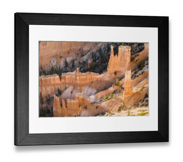 Framed Print : Wall of Hoodoos at Bryce Canyon National Park. Utah. US Framed Print : Wall of Hoodoos at Bryce Canyon National Park. Utah. US