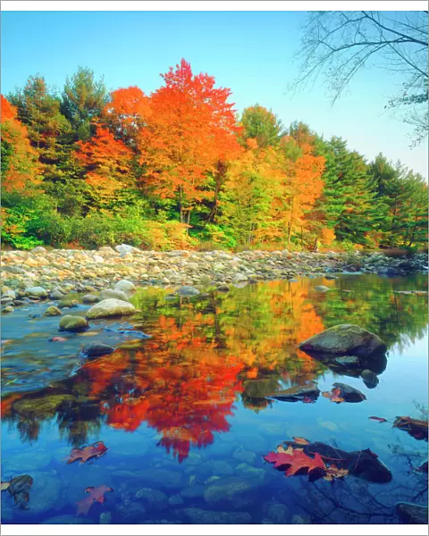 USA, Vermont, Autumn Colors reflecting in a stream in Vermont