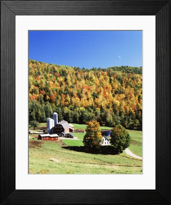 Framed Print : USA, Vermont, Northeast Kingdom, Irasburg, View of Diamond Heart farm in autumn Framed Print : USA, Vermont, Northeast Kingdom, Irasburg, View of Diamond Heart farm in autumn