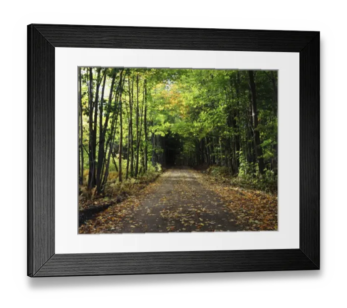 Framed Print : USA, Vermont, Northeast Kingdom, South Albany, View of country road Framed Print : USA, Vermont, Northeast Kingdom, South Albany, View of country road