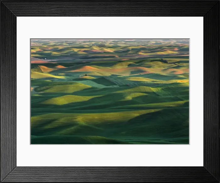 Framed Print : Elevated view of undulating wheat crop, Palouse region of eastern Washington Framed Print : Elevated view of undulating wheat crop, Palouse region of eastern Washington