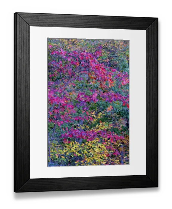 Framed Print : USA, Virginia, McLean. Scenic in Great Falls State Park