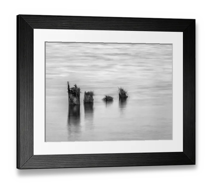 Framed Print : USA, Washington, Old pilings near Cape Disappointment Framed Print : USA, Washington, Old pilings near Cape Disappointment