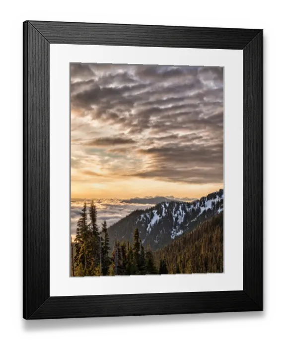 Framed Print : USA, Washington, Olympic National Park, View looking northeast from road to Hurricane Framed Print : USA, Washington, Olympic National Park, View looking northeast from road to Hurricane